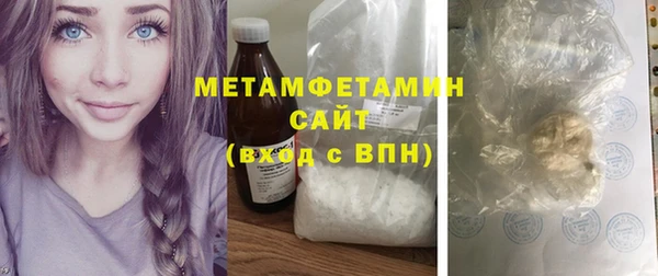 шишки Горняк
