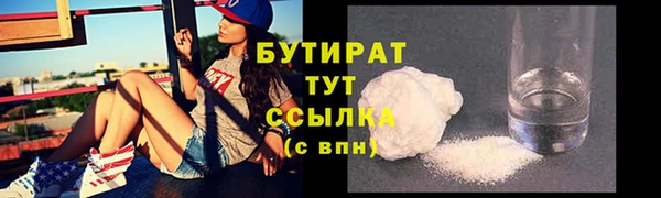 шишки Горняк