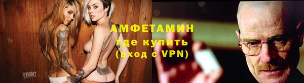 шишки Горняк