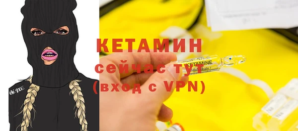 шишки Горняк