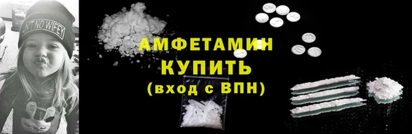 шишки Горняк