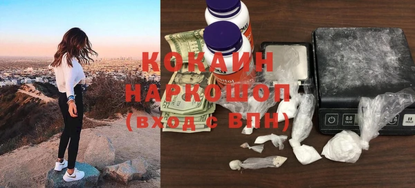 шишки Горняк