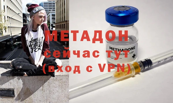 шишки Горняк