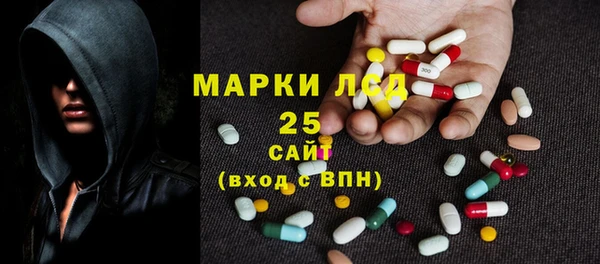 шишки Горняк