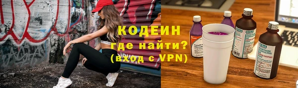 шишки Горняк