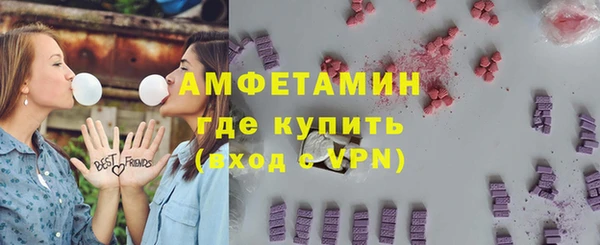 шишки Горняк